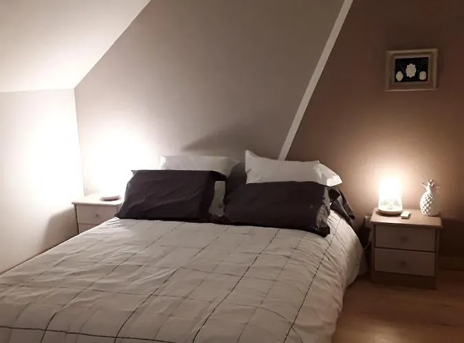 Maison bois